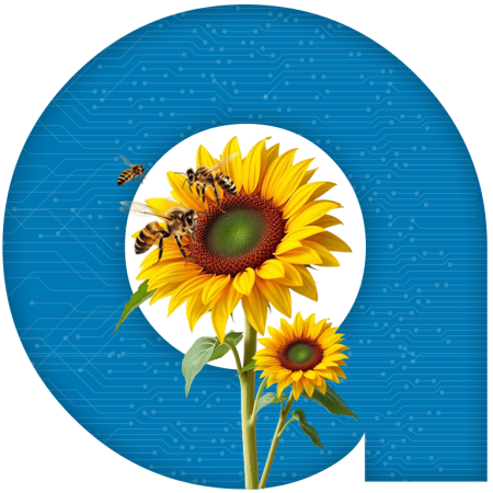 Account Based Marketing Account Based Marketing