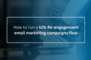 B2B Re-engagement email marketing campaigns flow
